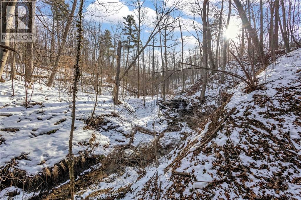 59 PARK Road S, Grimsby, Ontario, L3M4E7 — Photo 41