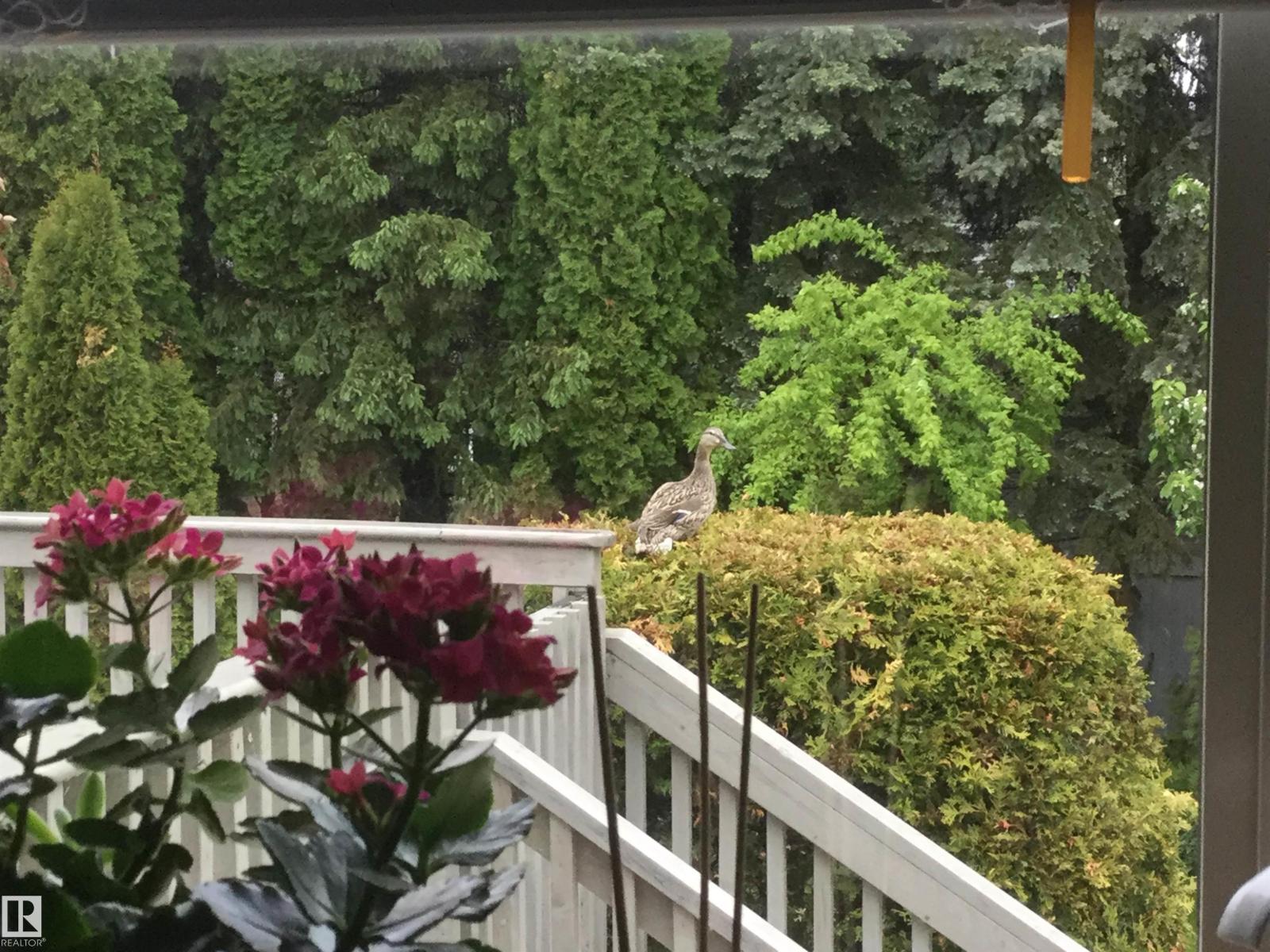 70 Flagstone CR - photo 5