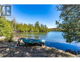 527 B Lorwell Lake Drive, Brudenell, Lyndoch And Raglan, ON K0J2A0 Photo 35