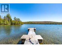 527 B Lorwell Lake Drive, Brudenell, Lyndoch And Raglan, ON K0J2A0 Photo 15
