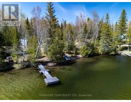 527 B Lorwell Lake Drive, Brudenell, Lyndoch And Raglan, ON K0J2A0 Photo 6