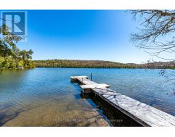 527 B Lorwell Lake Drive, Brudenell, Lyndoch And Raglan, ON K0J2A0 Photo 29
