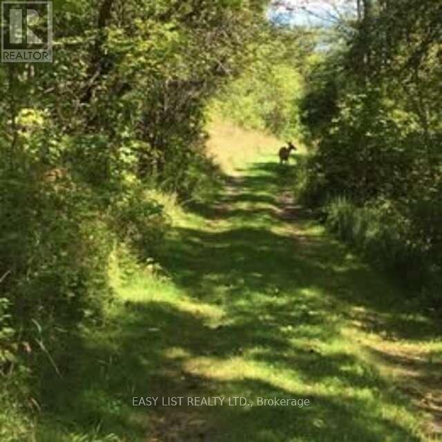 69 12TH CONCESSION - 30