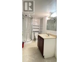 Basement - 120 Hollyberry Trail, Toronto, ON M2H2P1 Photo 7