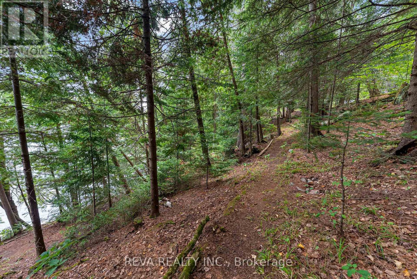 156 PONACKA ROAD - 36