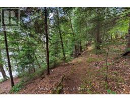 156 Ponacka Road, Hastings Highlands, ON K0L1C0 Photo 36
