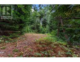156 Ponacka Road, Hastings Highlands, ON K0L1C0 Photo 37