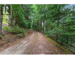 156 Ponacka Road, Hastings Highlands, ON K0L1C0 Photo 38