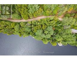 156 Ponacka Road, Hastings Highlands, ON K0L1C0 Photo 39