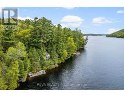 156 Ponacka Road, Hastings Highlands, ON K0L1C0 Photo 42