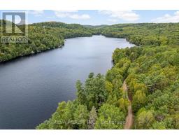 156 Ponacka Road, Hastings Highlands, ON K0L1C0 Photo 45