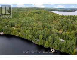 156 Ponacka Road, Hastings Highlands, ON K0L1C0 Photo 46