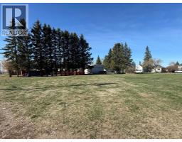 4911 48 Avenue, Mannville, AB T0B2W0 Photo 9