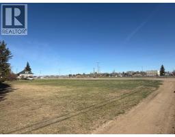 4911 48 Avenue, Mannville, AB T0B2W0 Photo 8