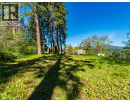 225 2nd Avenue, Castlegar, BC V1N3C2 Photo 11