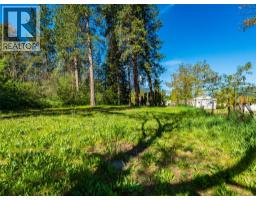 225 2nd Avenue, Castlegar, BC V1N3C2 Photo 7