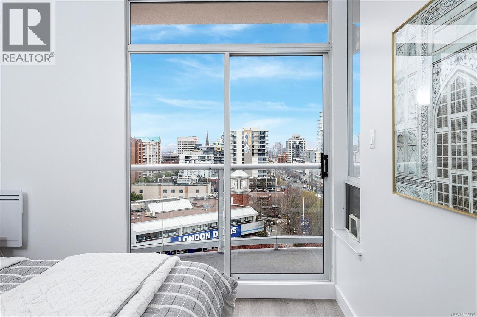 #1102 1010 View St - 32