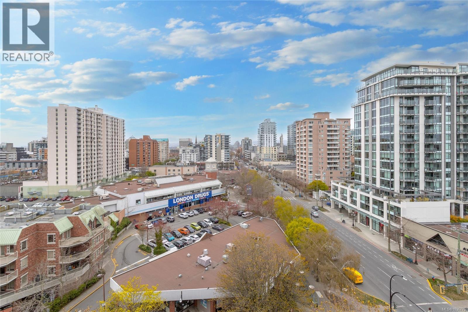 #1102 1010 View St - 34