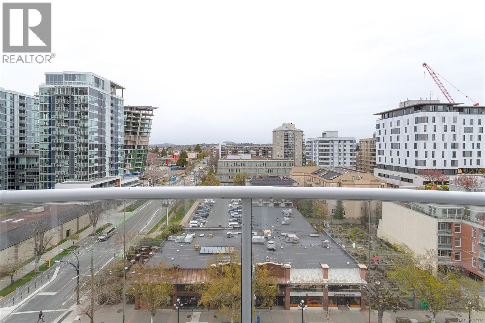 #1102 1010 View St - 36