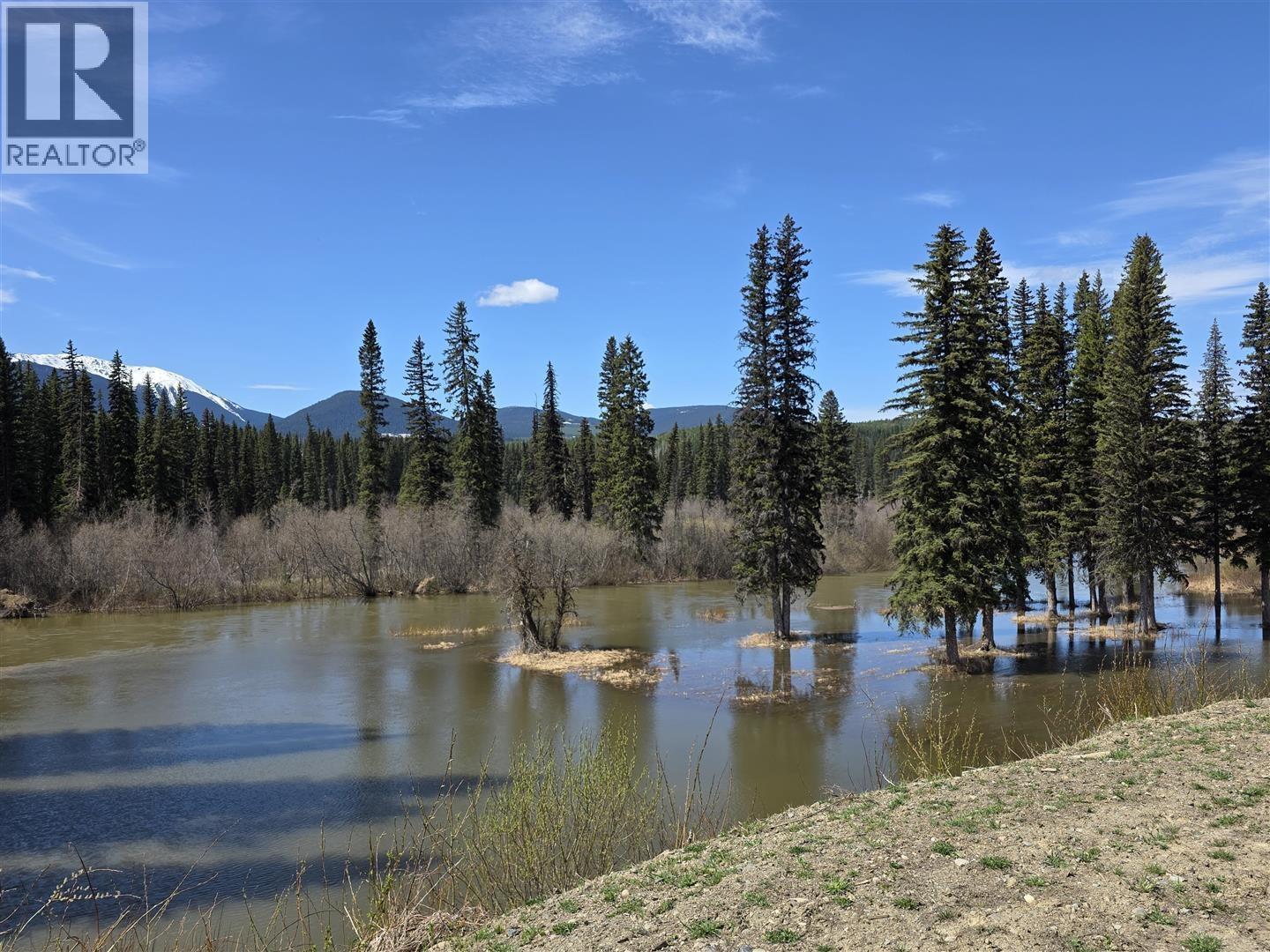 LOT 1 INDIAN LAKE ROAD, Quesnel — photo 3