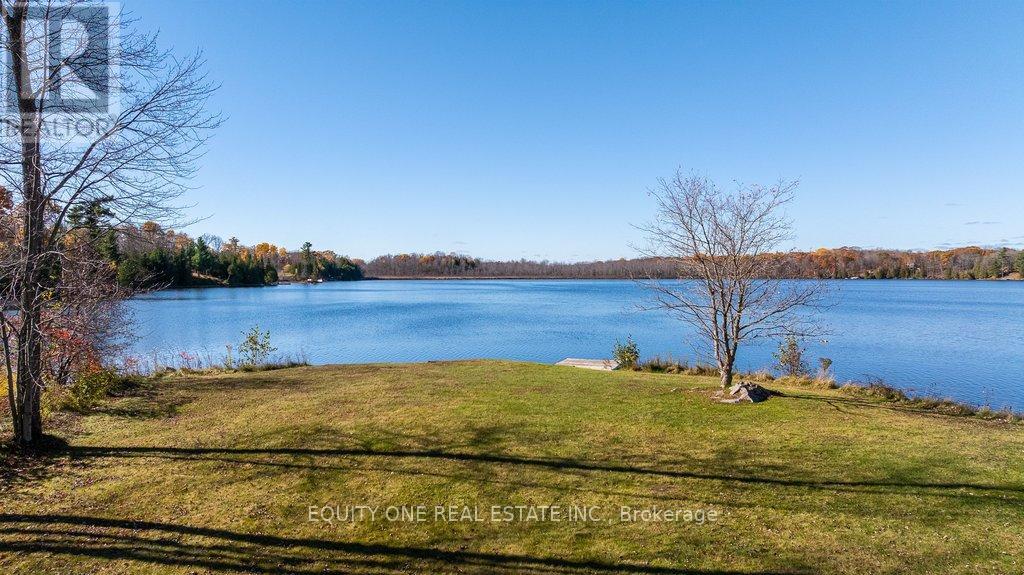 1099C POLAR BEAR LANE - 45
