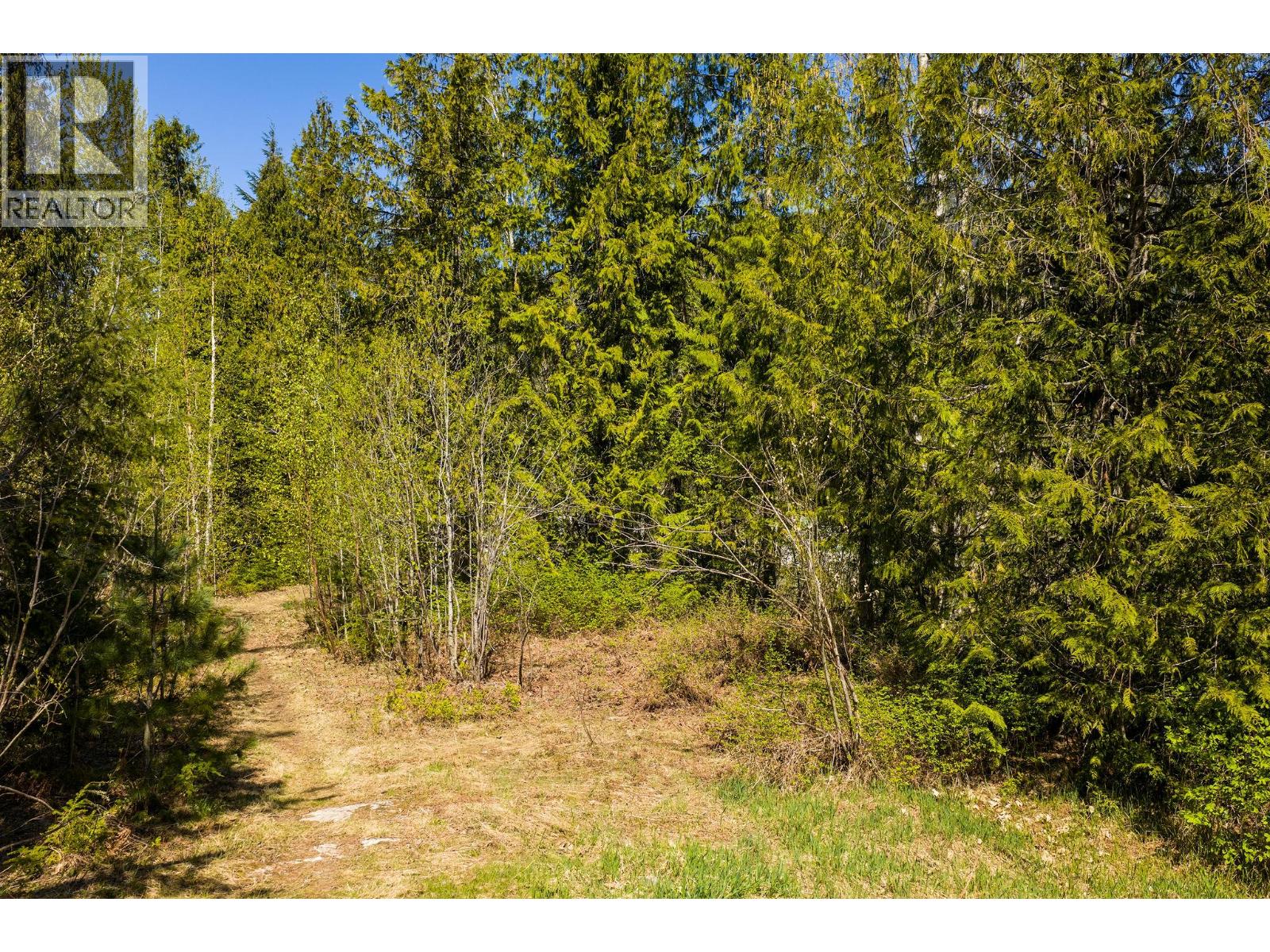 81 Johnson Way, Revelstoke