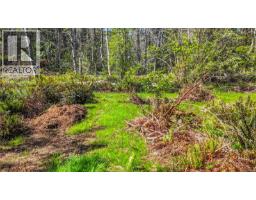 3250 Gunpowder Trail, Hornby Island, BC V0R1Z0 Photo 59