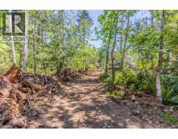 3250 Gunpowder Trail, Hornby Island, BC V0R1Z0 Photo 19