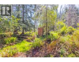 3250 Gunpowder Trail, Hornby Island, BC V0R1Z0 Photo 11