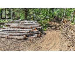 3250 Gunpowder Trail, Hornby Island, BC V0R1Z0 Photo 62