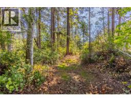 3250 Gunpowder Trail, Hornby Island, BC V0R1Z0 Photo 23