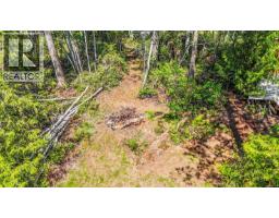 3250 Gunpowder Trail, Hornby Island, BC V0R1Z0 Photo 74