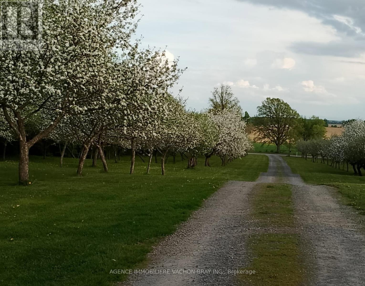 21237 CONCESSION 6 ROAD - 4