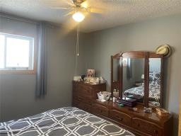134173 Pth 16 Highway, Shoal Lake, MB R0J1Z0 Photo 14