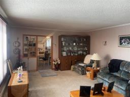134173 Pth 16 Highway, Shoal Lake, MB R0J1Z0 Photo 12