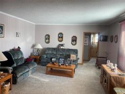 134173 Pth 16 Highway, Shoal Lake, MB R0J1Z0 Photo 13