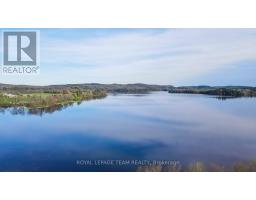 299 Siberia Road, Madawaska Valley, ON K0J1B0 Photo 47