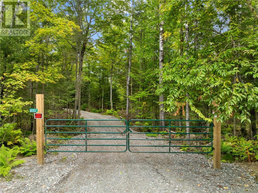 603 C2 West Branch Road - 37