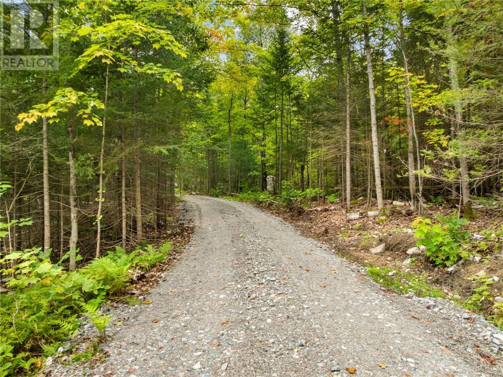603 C2 West Branch Road - 38