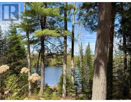 10453 County Road 503 Road, Highlands East, ON K0M1R0 Photo 50