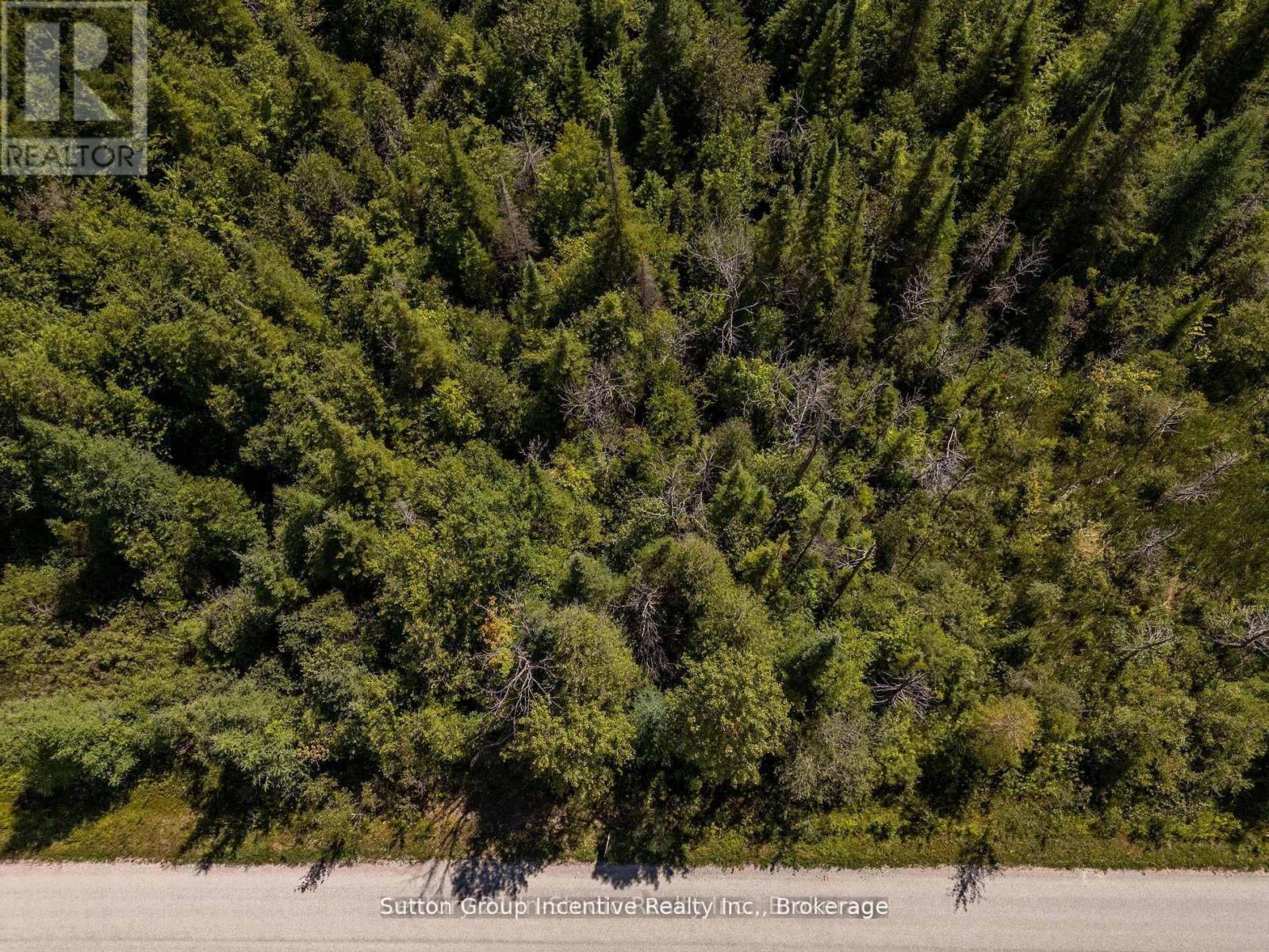 49 LAKE DRIVE, West Grey — photo 3