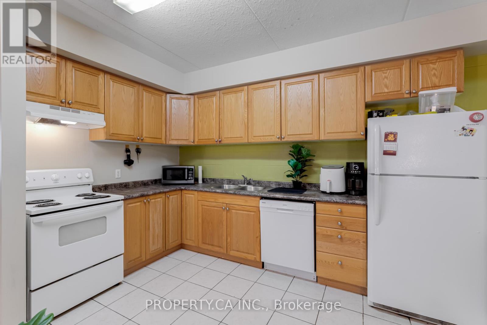 #204 253 LESTER STREET - 13