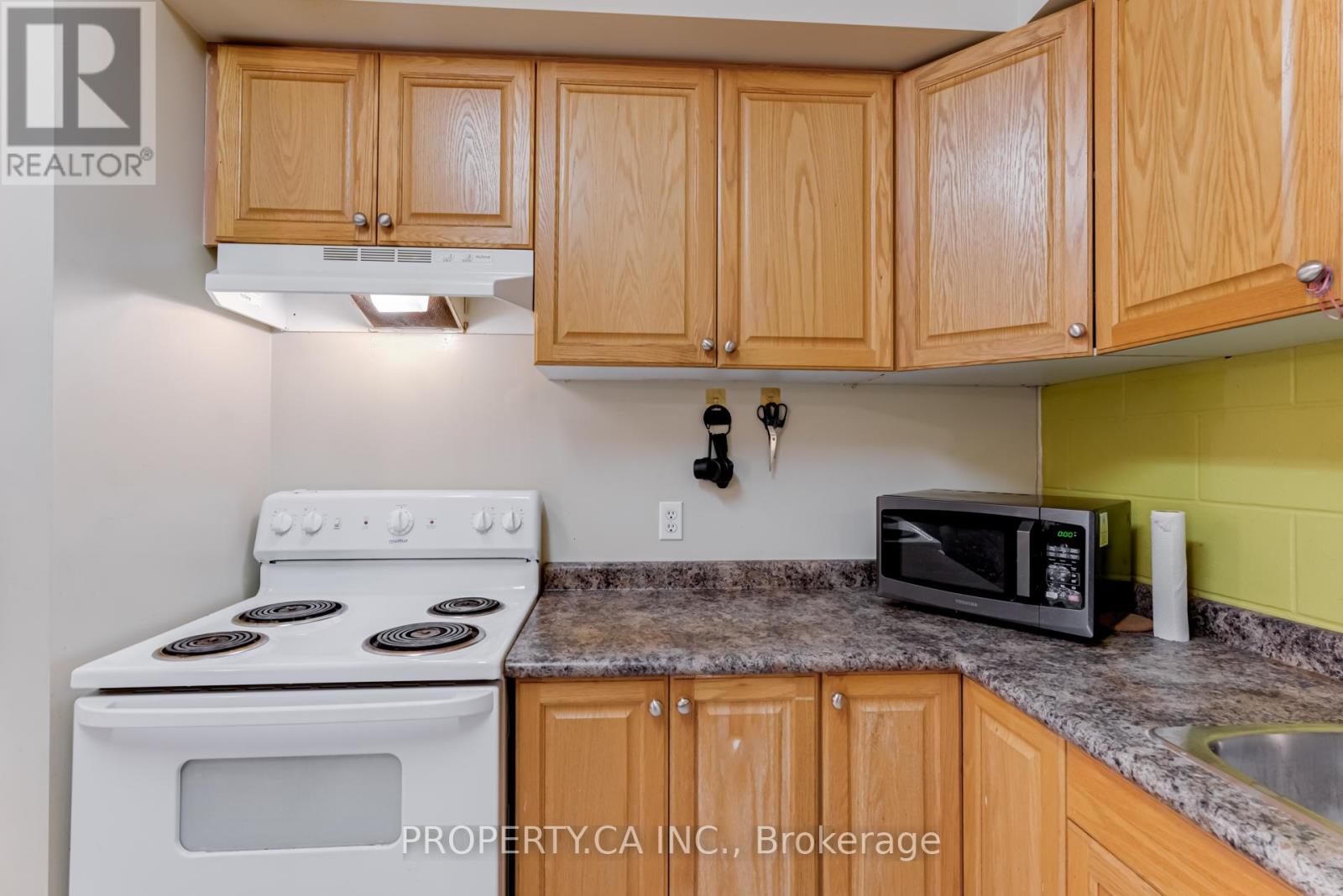 #204 253 LESTER STREET - 14