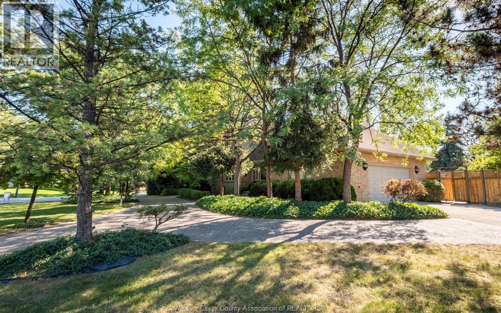 379 ELMGROVE DRIVE - 3