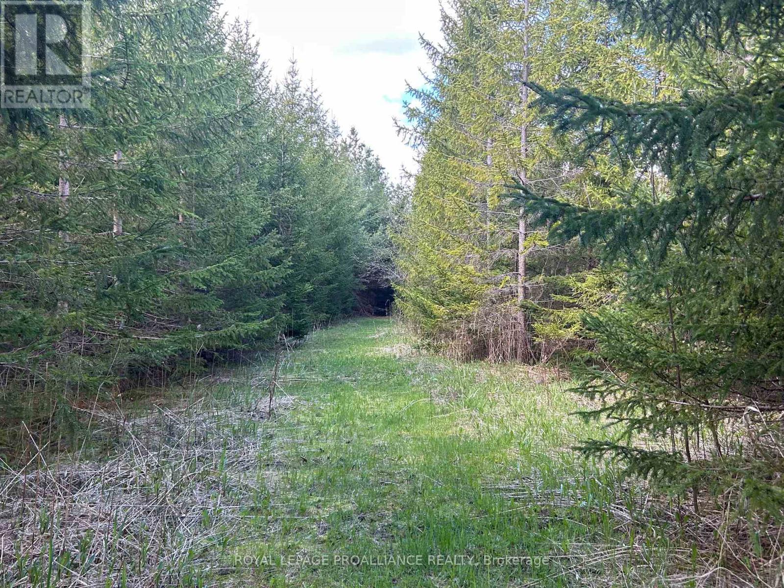 Part 3 Ingham Road, Alnwick/Haldimand, Ontario, K0K2X0, Alnwick/Haldimand, Ontario — photo 5 of 5
