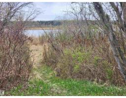 612 1 Av E, Rural Wetaskiwin County, AB T0C0T0 Photo 14