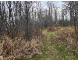 612 1 Av E, Rural Wetaskiwin County, AB T0C0T0 Photo 15