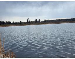 612 1 Av E, Rural Wetaskiwin County, AB T0C0T0 Photo 18