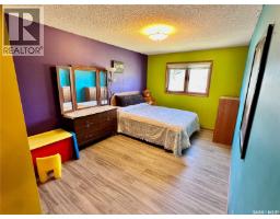334 Young Street, Earl Grey, SK S0G1J0 Photo 21