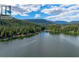 48 Mabel Lake Subdivision Road, Mabel Lake, BC V0E1V5 Photo 69